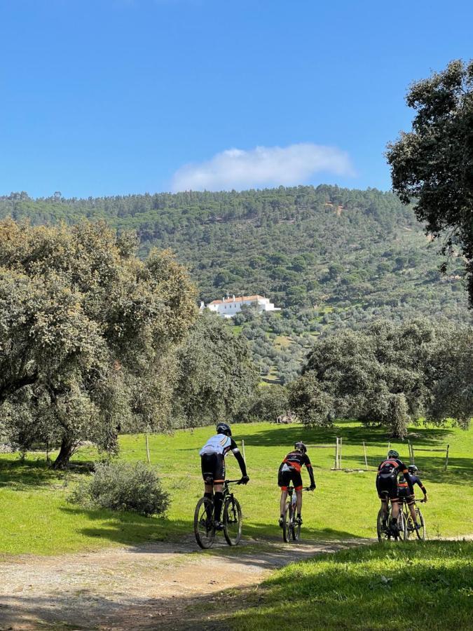 Monte Dos Pensamentos - Turismo Rural Estremoz Exterior foto