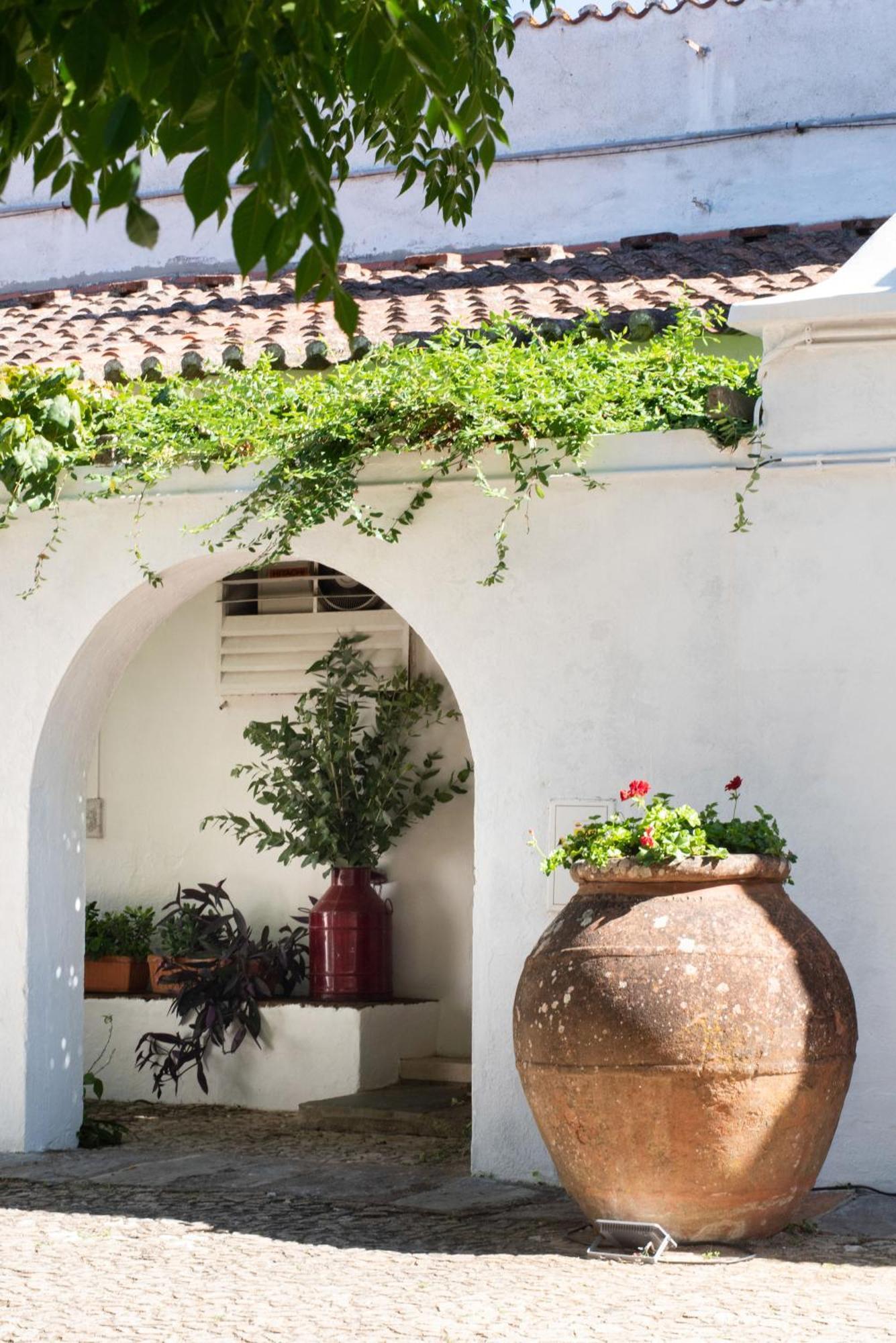 Monte Dos Pensamentos - Turismo Rural Estremoz Exterior foto