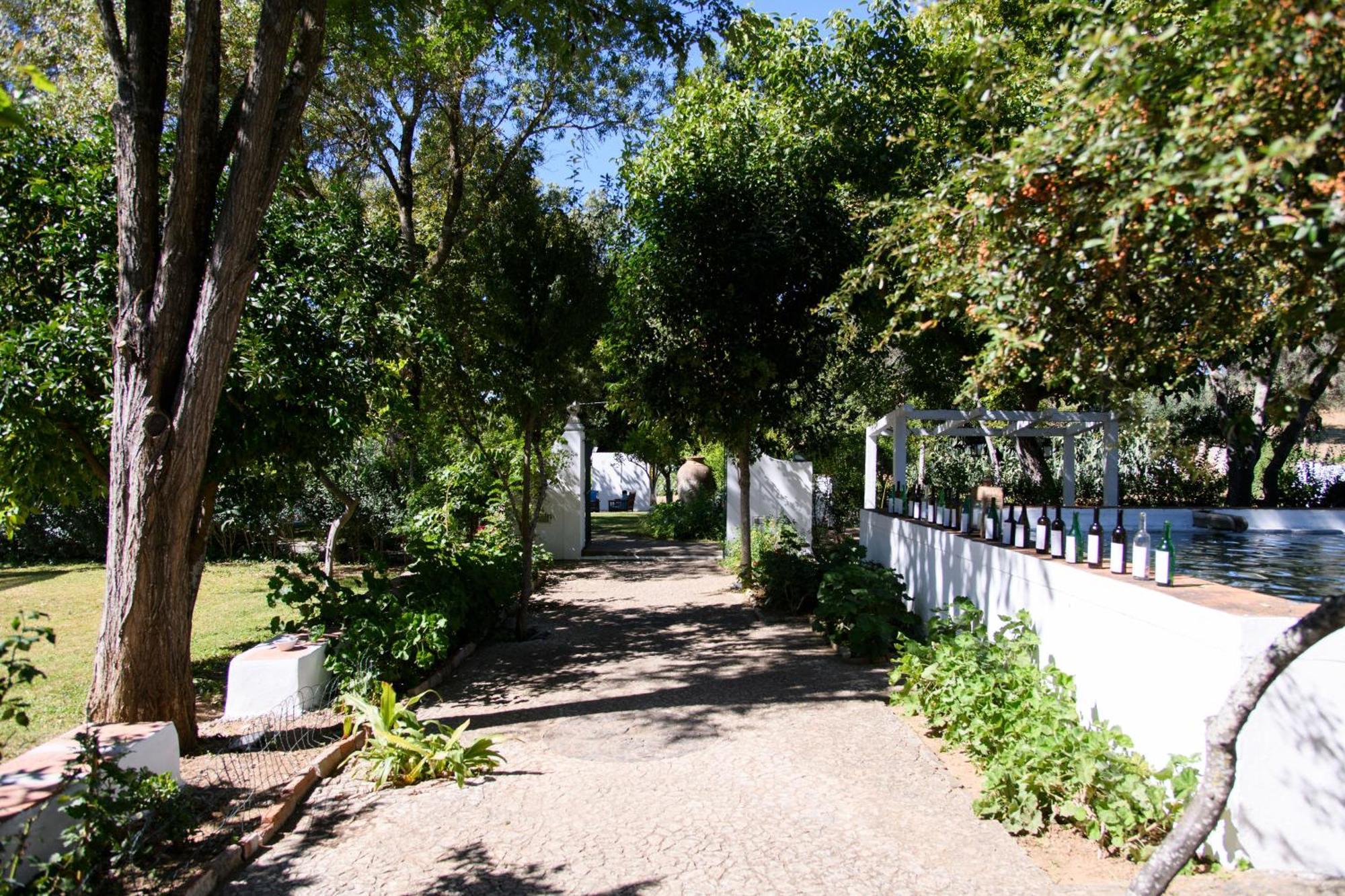 Monte Dos Pensamentos - Turismo Rural Estremoz Exterior foto