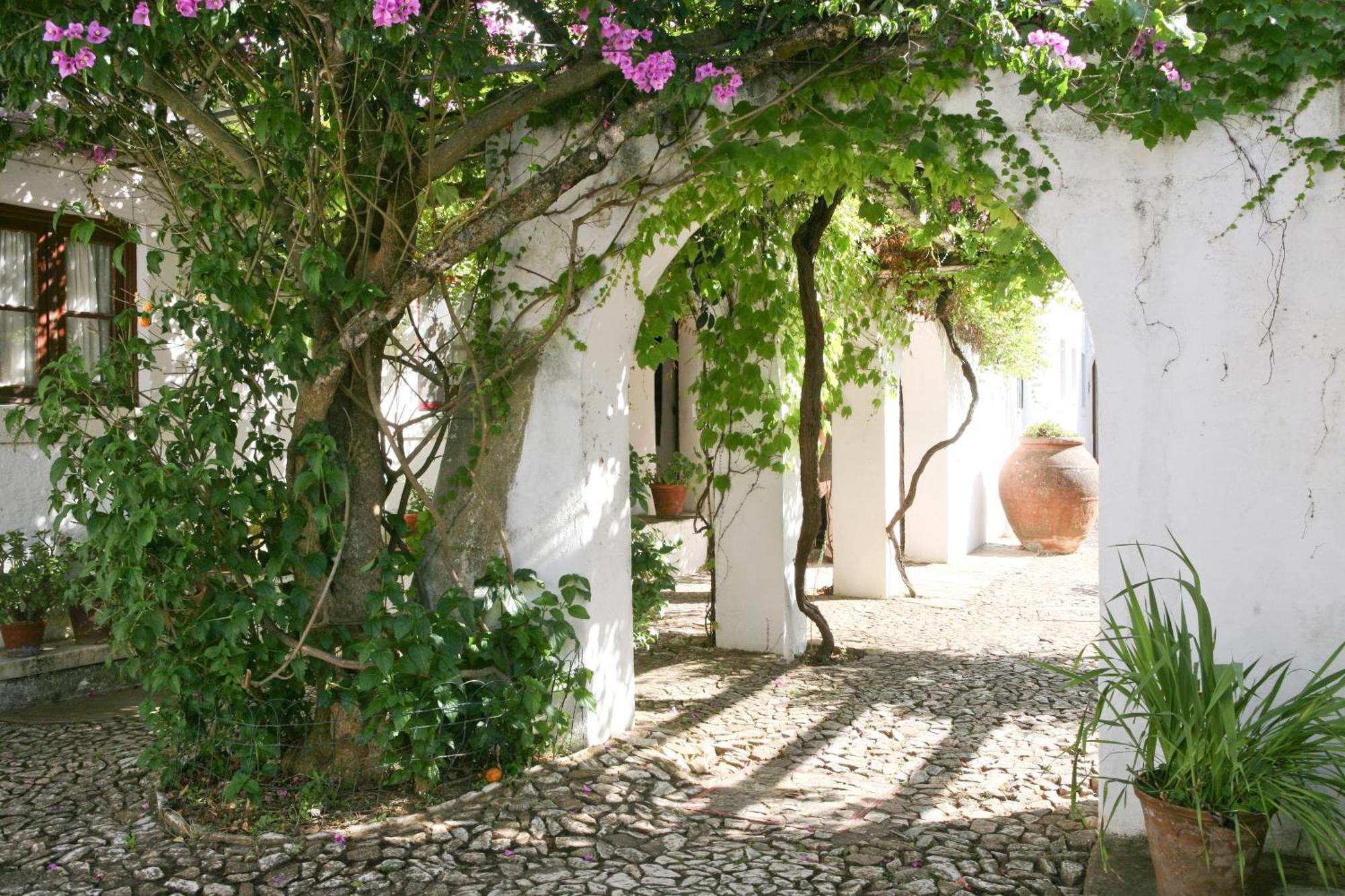 Monte Dos Pensamentos - Turismo Rural Estremoz Exterior foto